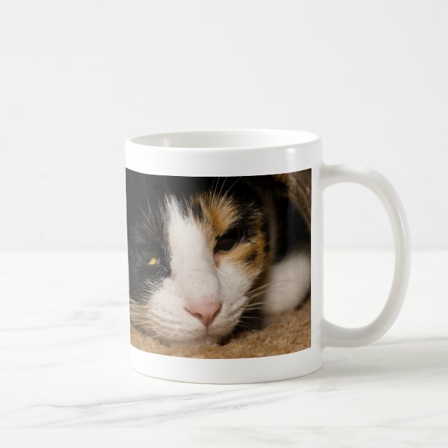 Calico Face Coffee Mug (Right)