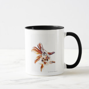 Calico Fantail Comet goldfish (Carassius Mug