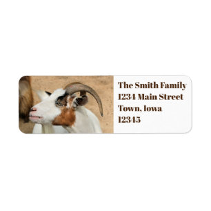 Calico goat return address label