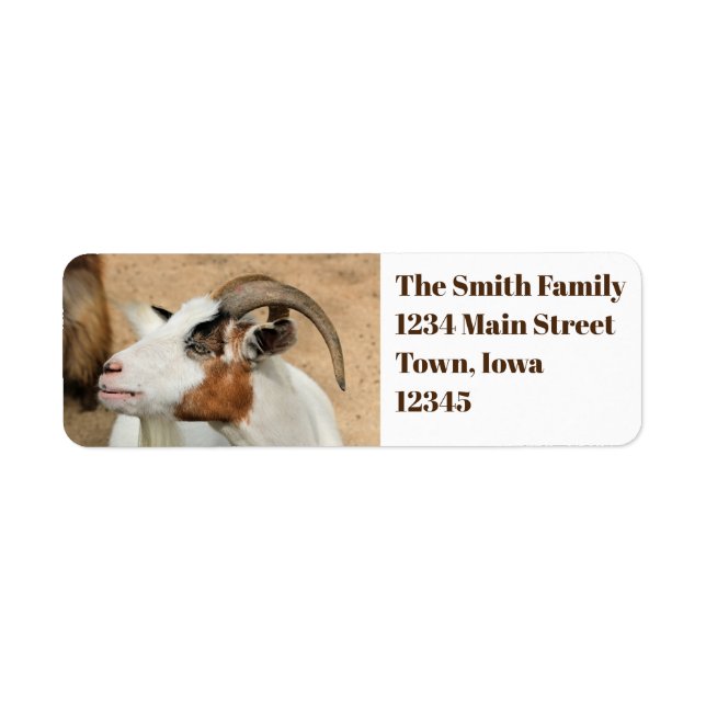 Calico goat return address label (Front)