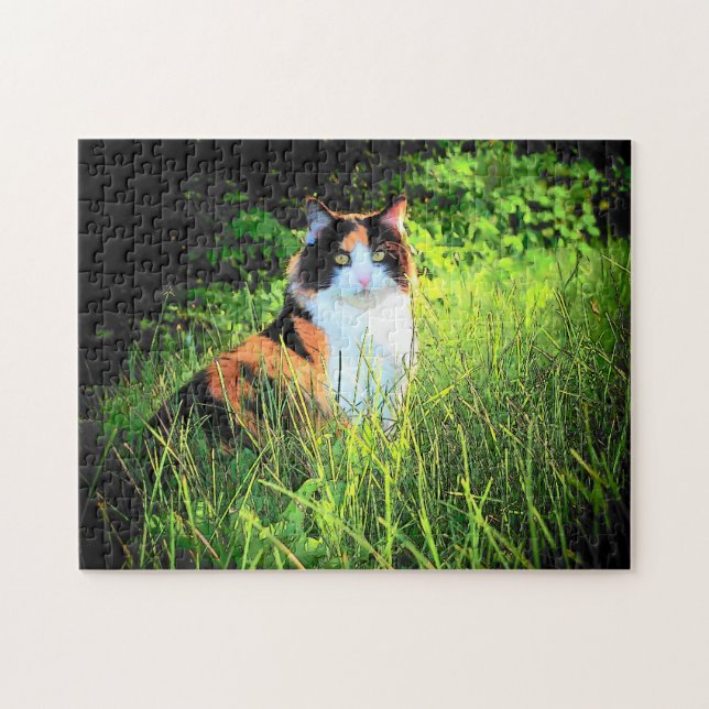 Calico Hill Jigsaw Puzzle (Horizontal)