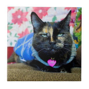 Calico I Ceramic Tile