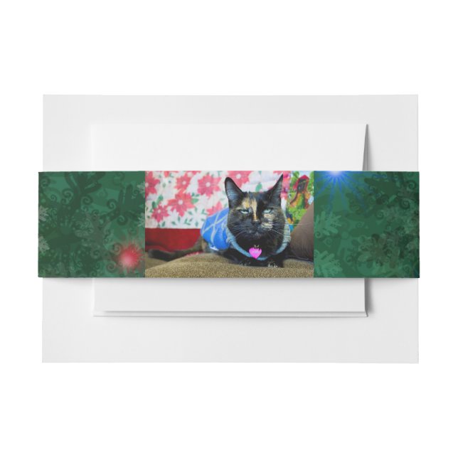 Calico I Invitation Belly Band (Front Example)