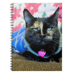 Calico I Notebook