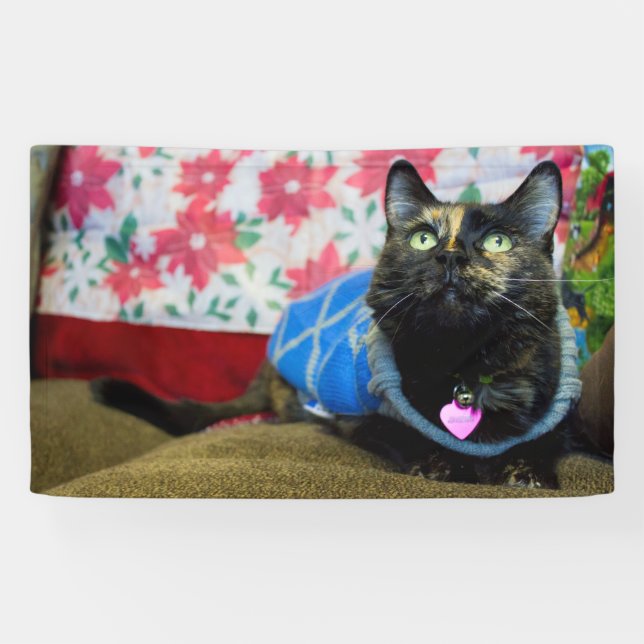 Calico II Banner (Horizontal)