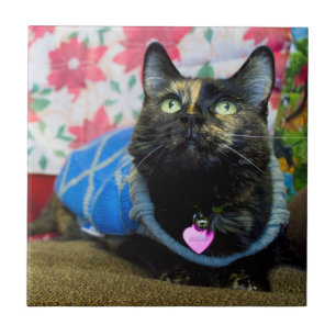 Calico II Ceramic Tile