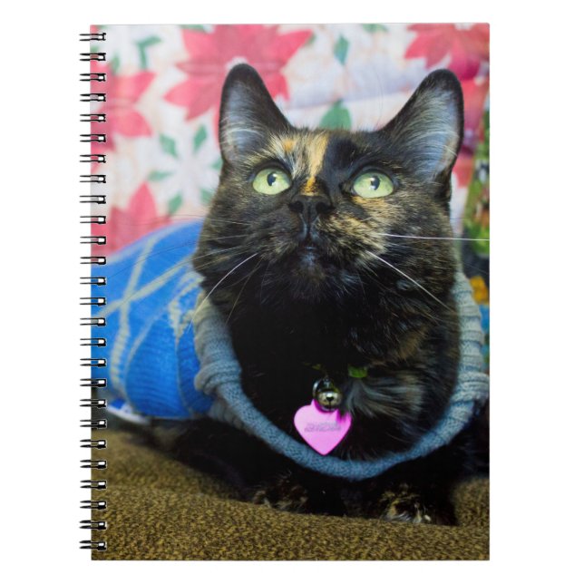 Calico II Notebook (Front)