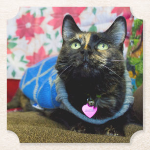 Calico II Paper Coaster