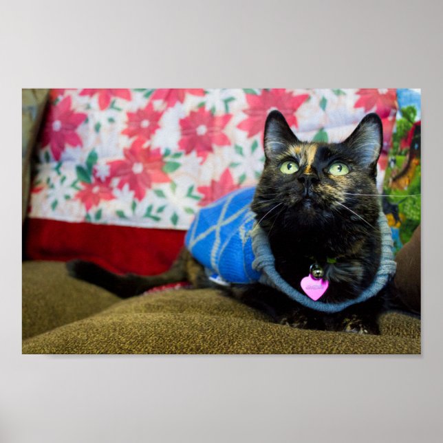 Calico II Poster (Front)