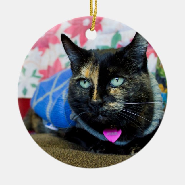 Calico III Ceramic Ornament (Front)