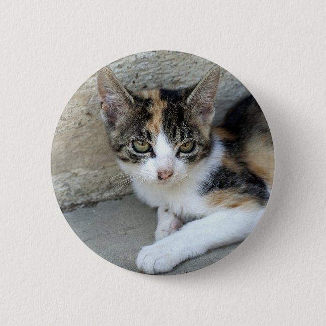 Calico Kitten 6 Cm Round Badge (Front)