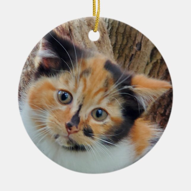 Calico kitten ceramic ornament (Front)