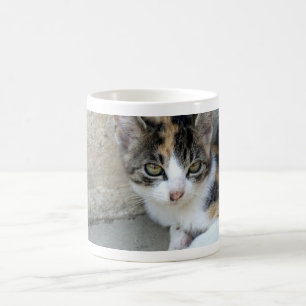 Calico Kitten Coffee Mug