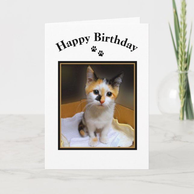Calico Kitten Happy Birthday Card (Front)
