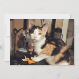 Calico Kitten with Fish Gift for You Flat Card