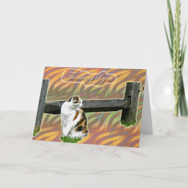 Calico Kitty Cat Thinking of You Card (Front)