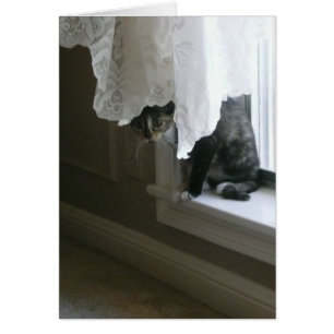 Calico Kitty on the Window Sill, peek-a-boo!