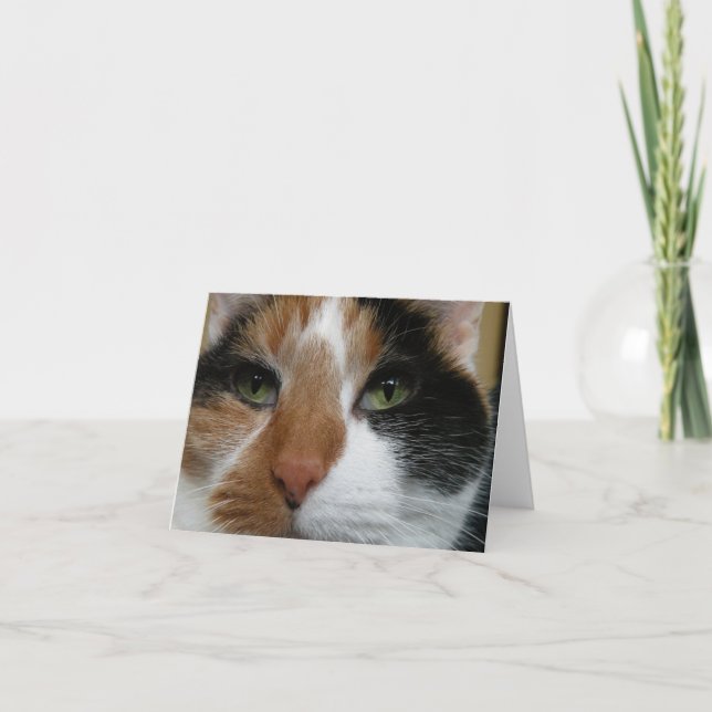 Calico note card (Front)