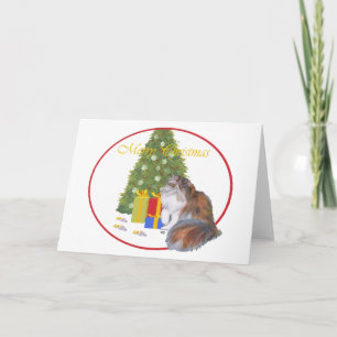 Calico Persian Cat Christmas Holiday Card