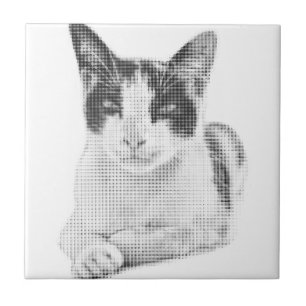 Calico Pop Halftone Ceramic Tile