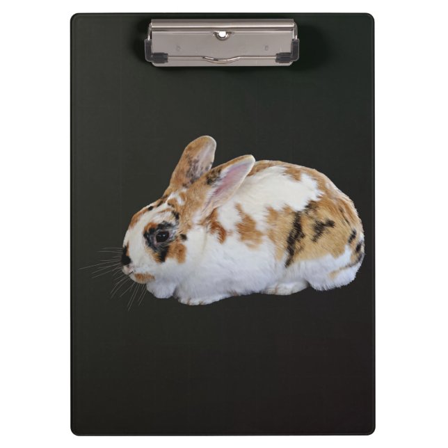Calico Rabbit Clipboard (Front)
