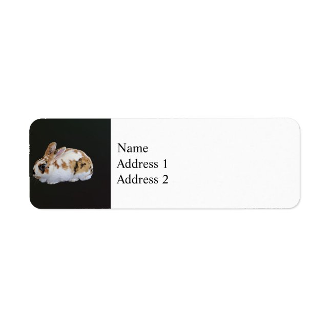 Calico Rabbit Return Address Label (Front)