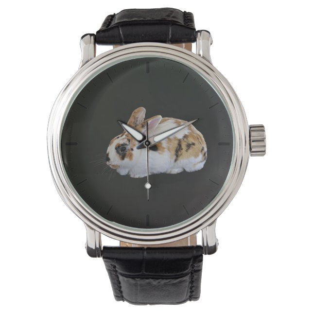 Calico Rabbit Watch (Front)