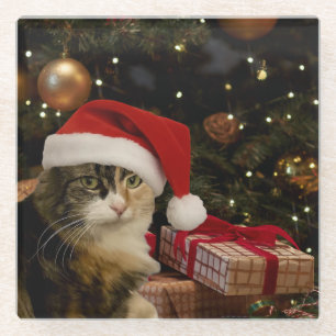Calico Santa Kitty Glass Coaster