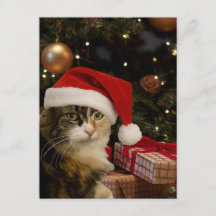 Calico Santa Kitty Postcard
