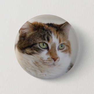 Calico tabby cat face 6 cm round badge