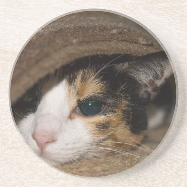 Calico Taco Coaster (Front)