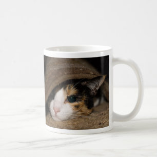 Calico Taco Coffee Mug