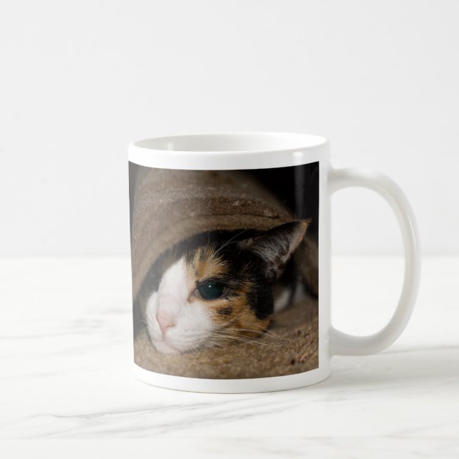 Calico Taco Coffee Mug (Right)