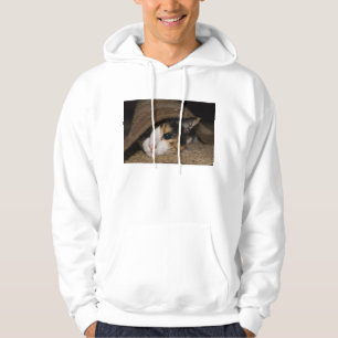Calico Taco Hoodie