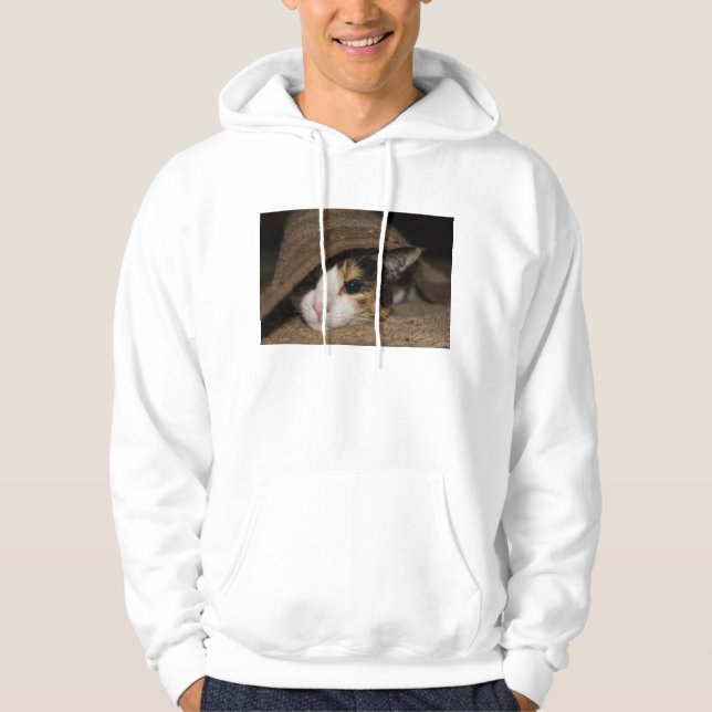 Calico Taco Hoodie (Front)