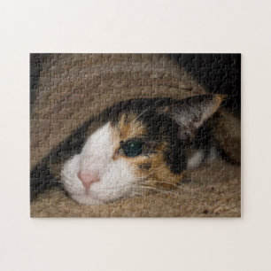 Calico Taco Jigsaw Puzzle