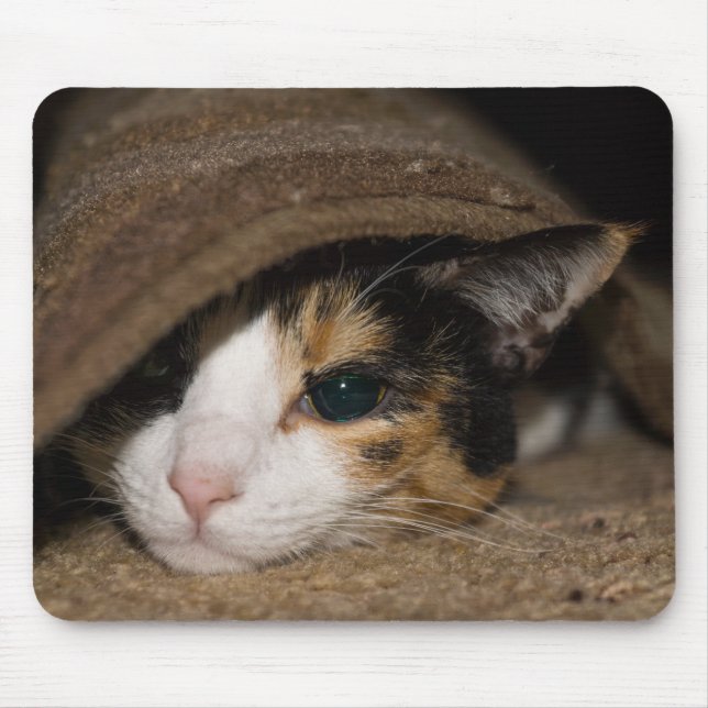 Calico Taco Mouse Pad (Front)