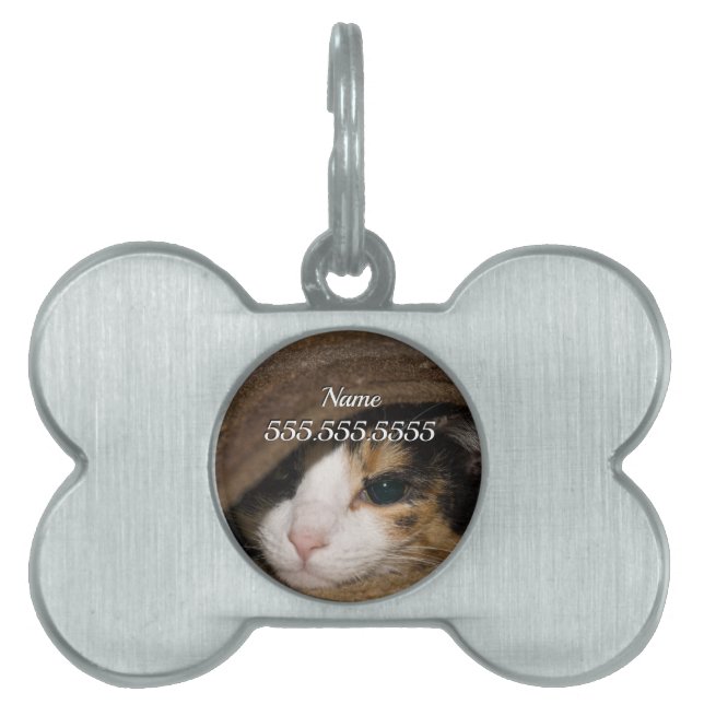 Calico Taco Pet Tag (Front)