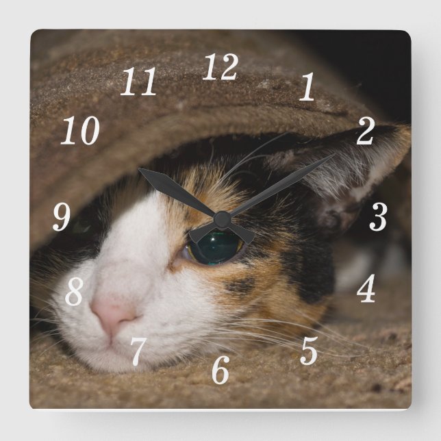 Calico Taco Square Wall Clock (Front)