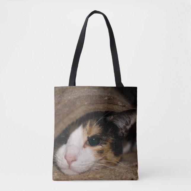 Calico Taco Tote Bag (Front)