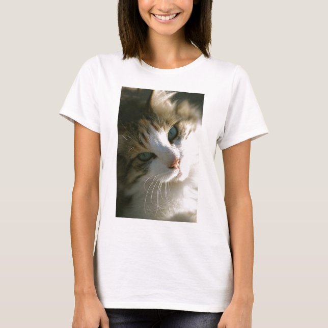 Calico Tiger Cat T-Shirt (Front)