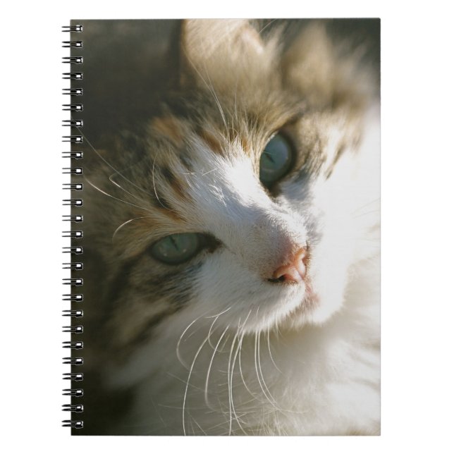 Calico Tiger Kitty Notebook (Front)