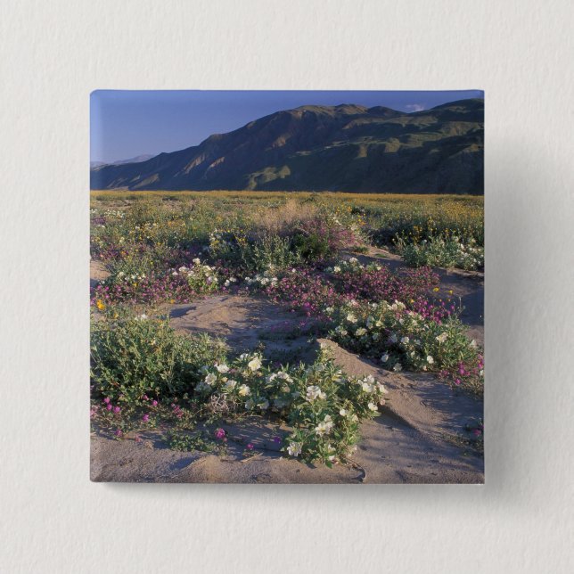 Califorinia, Anza-Borrego Desert SP, Sand 15 Cm Square Badge (Front)