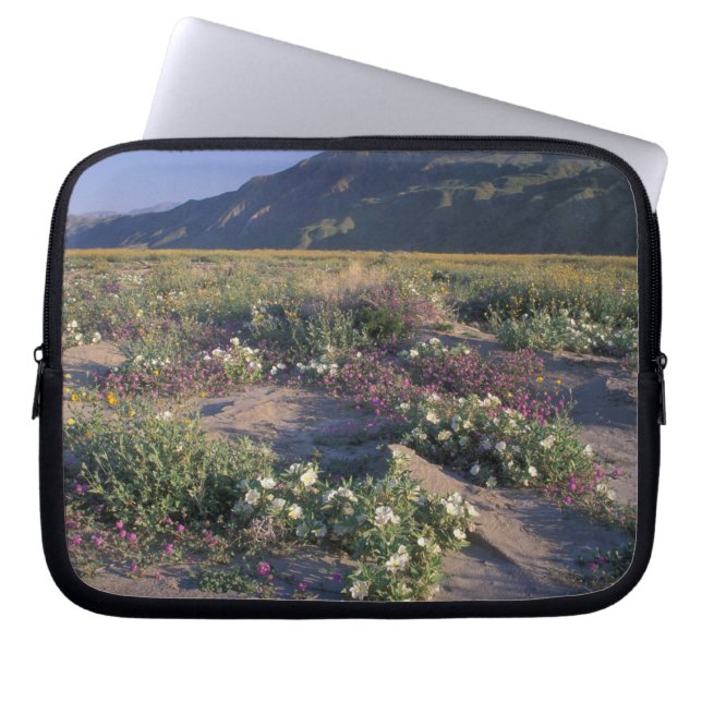 Califorinia, Anza-Borrego Desert SP, Sand Laptop Sleeve (Front)