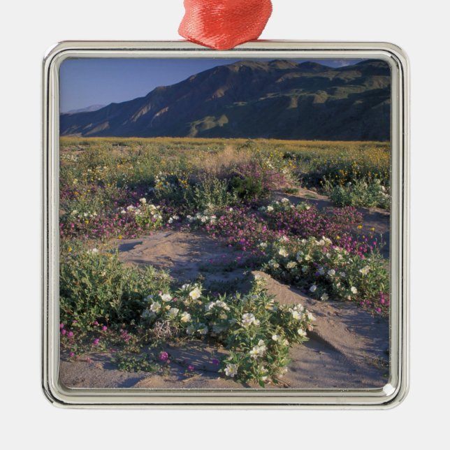 Califorinia, Anza-Borrego Desert SP, Sand Metal Tree Decoration (Front)