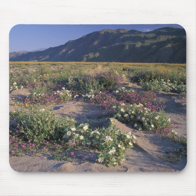 Califorinia, Anza-Borrego Desert SP, Sand Mouse Pad (Front)