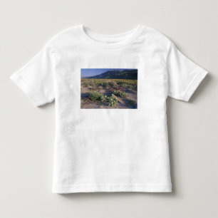 Califorinia, Anza-Borrego Desert SP, Sand Toddler T-Shirt