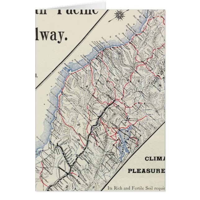 California 2 (Front)