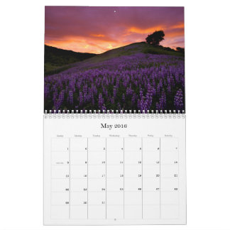 California - 2016 Calendar