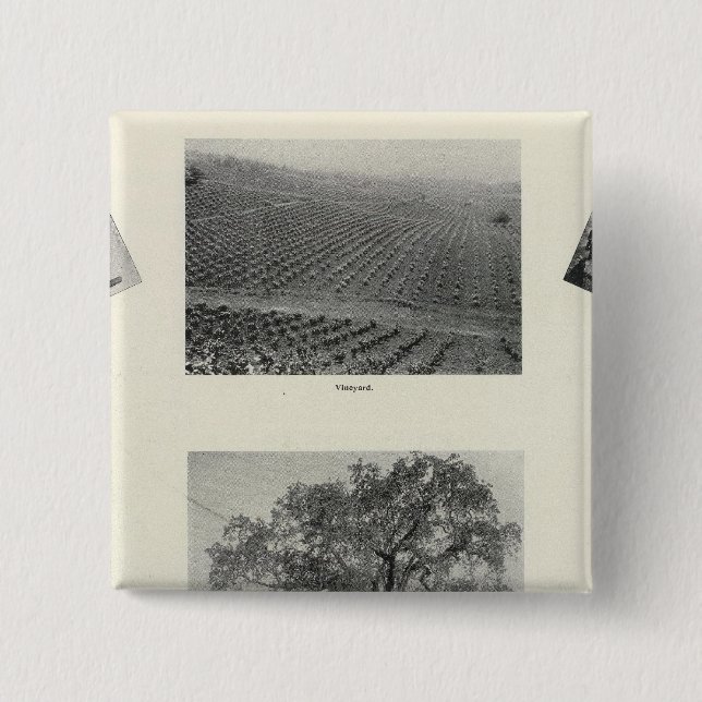 California 4 15 cm square badge (Front)